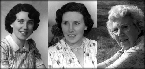 Vi - composite of 3 images